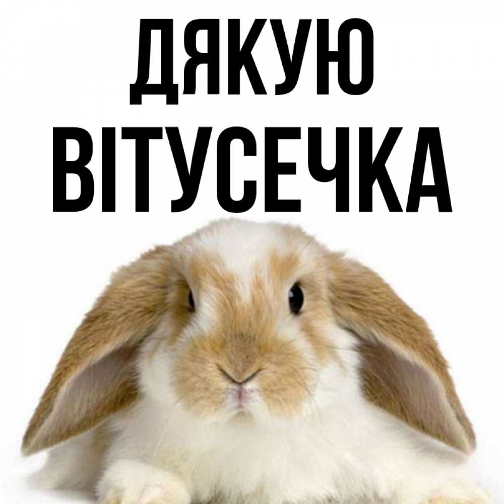 Открытка на каждый день з підписом, Вітусечка Дякую коричнево белый заяц Прикольна листівка з побажанням онлайн скачати безкоштовно 