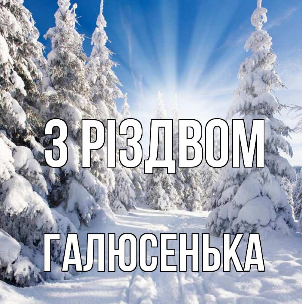 Открытка на каждый день з підписом, Галюсенька З Різдвом зима, лес Прикольна листівка з побажанням онлайн скачати безкоштовно 
