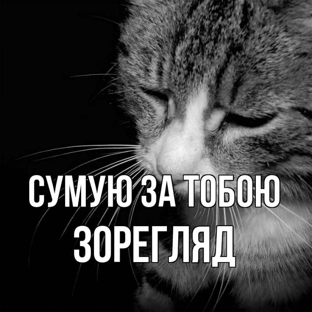 Открытка на каждый день з підписом, Зорегляд Сумую за тобою мне скучно Прикольна листівка з побажанням онлайн скачати безкоштовно 