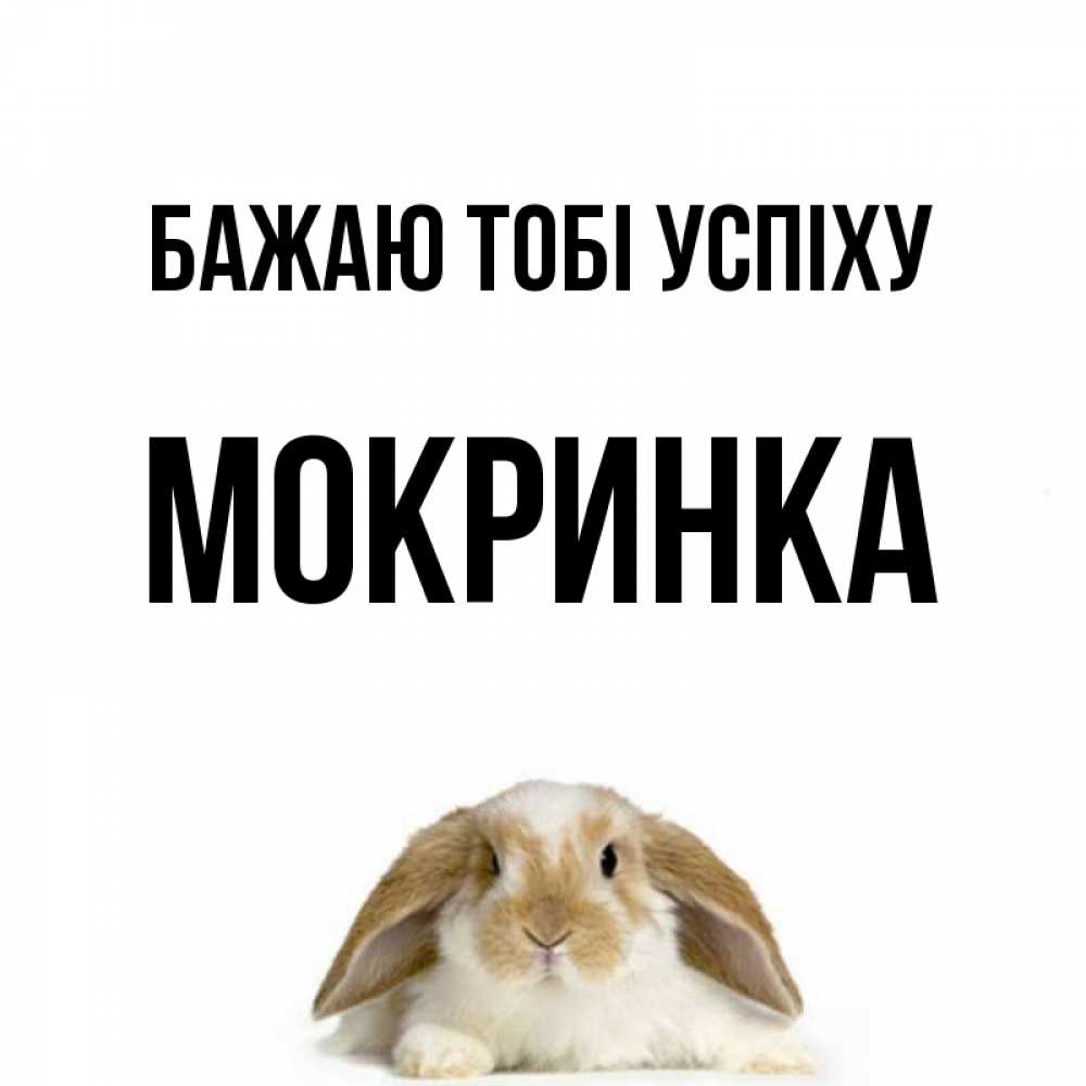 Открытка на каждый день з підписом, Мокринка Бажаю тобі успіху открытки с произвольным текстом который можно вставить в открытку и создать ее самостоятельно бесплатно онлайн Прикольна листівка з побажанням онлайн скачати безкоштовно 