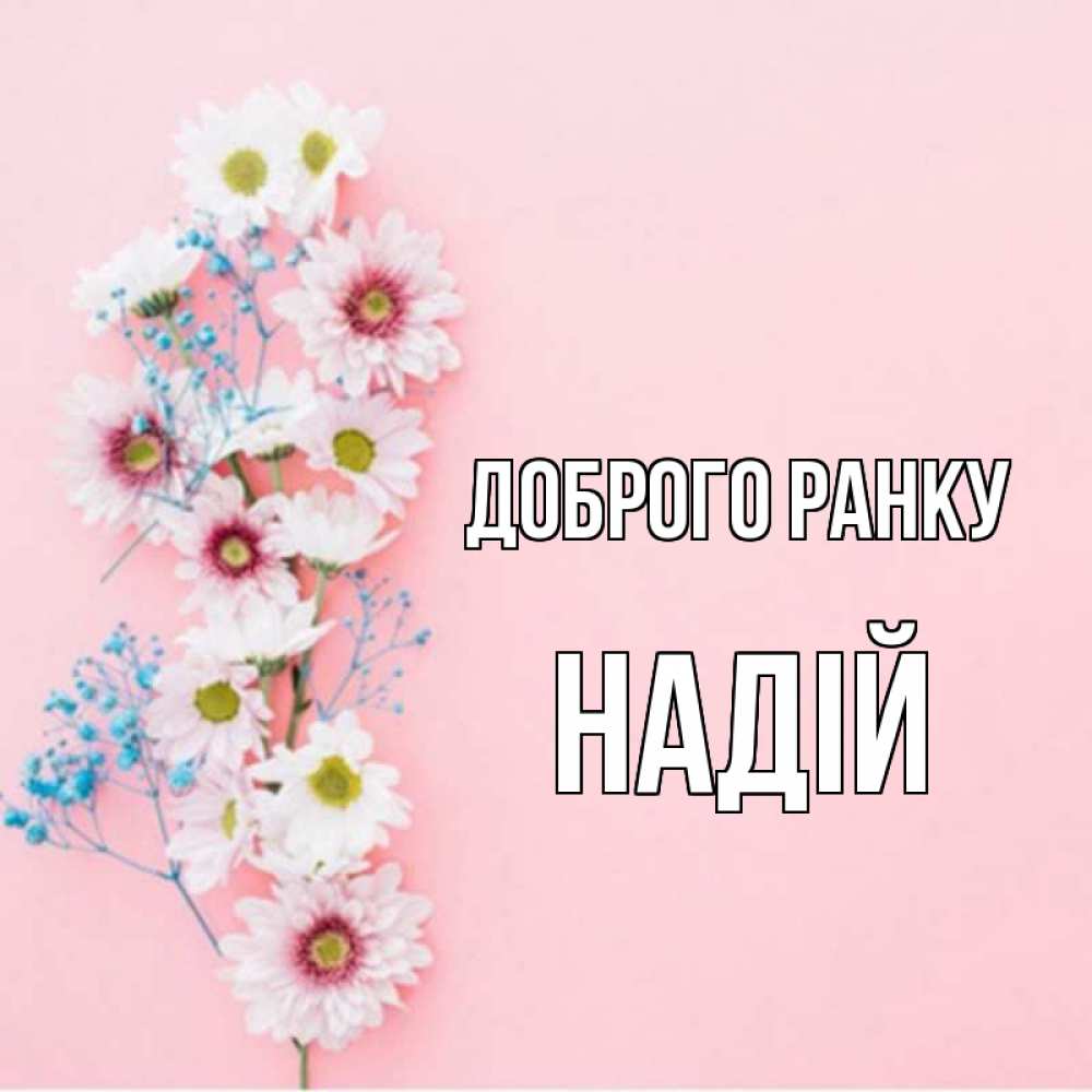 Открытка на каждый день з підписом, Надій Доброго ранку цветы с подписью Прикольна листівка з побажанням онлайн скачати безкоштовно 