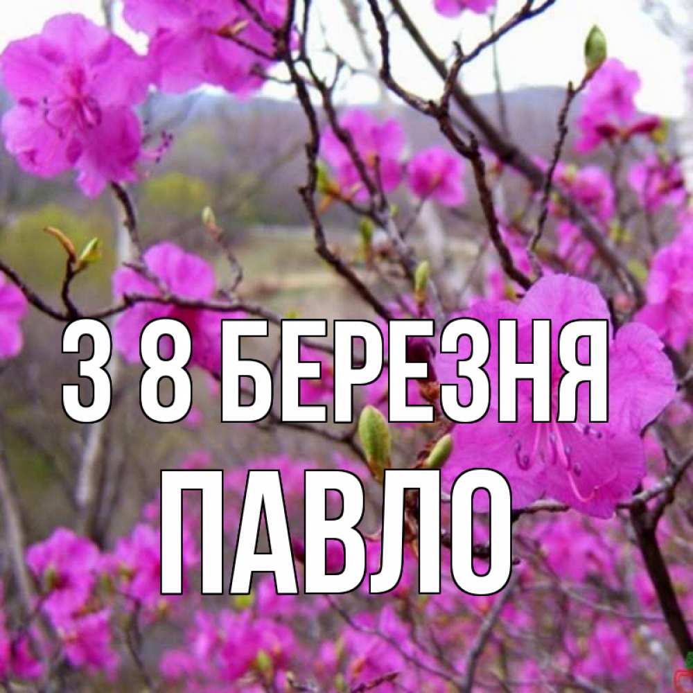 Открытка на каждый день з підписом, Павло З 8 БЕРЕЗНЯ международный женский день Прикольна листівка з побажанням онлайн скачати безкоштовно 