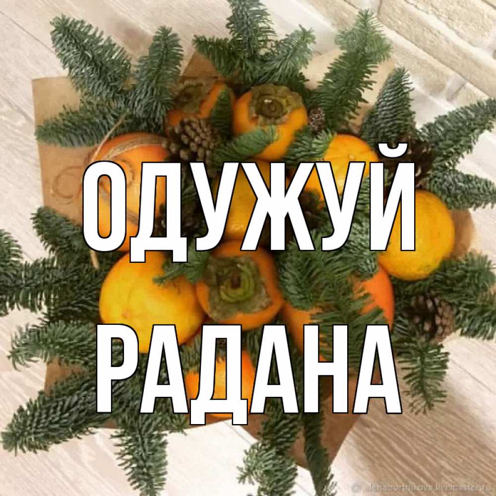 Открытка на каждый день з підписом, Радана Одужуй апельсины и хурьма Прикольна листівка з побажанням онлайн скачати безкоштовно 