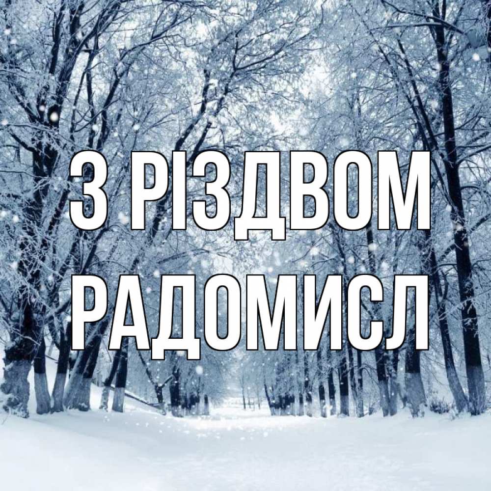 Открытка на каждый день з підписом, Радомисл З Різдвом снег, лес, парк Прикольна листівка з побажанням онлайн скачати безкоштовно 