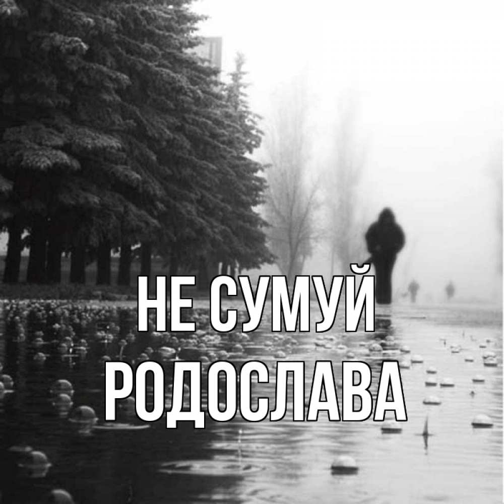 Открытка на каждый день з підписом, Родослава Не сумуй улица под дождем Прикольна листівка з побажанням онлайн скачати безкоштовно 