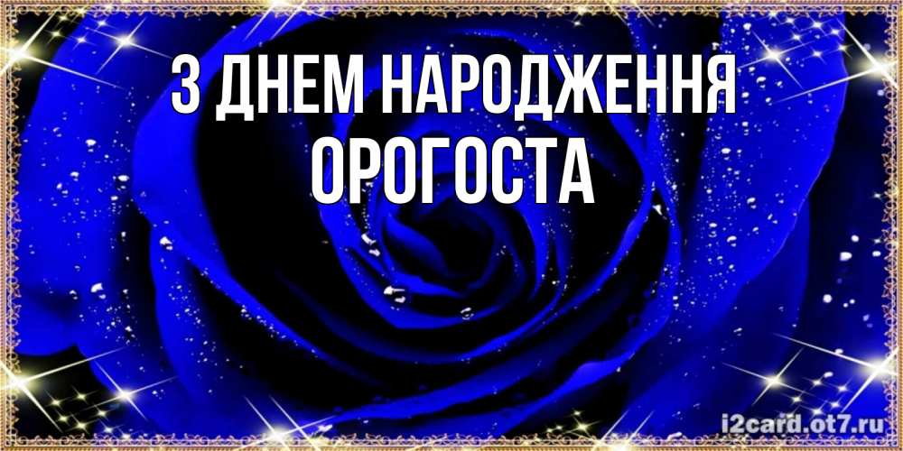 Открытка на каждый день з підписом, Орогоста З Днем народження голубые цветы в росе Прикольна листівка з побажанням онлайн скачати безкоштовно 