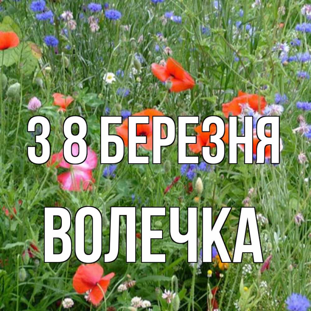 Открытка на каждый день з підписом, Волечка З 8 БЕРЕЗНЯ международный женский день 4 Прикольна листівка з побажанням онлайн скачати безкоштовно 