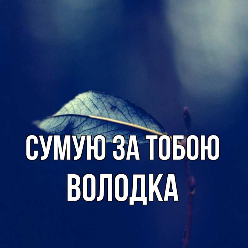 Открытка на каждый день з підписом, Володка Сумую за тобою одна ветка 1 Прикольна листівка з побажанням онлайн скачати безкоштовно 