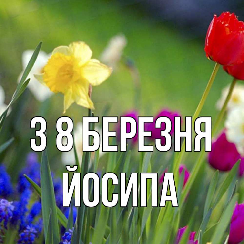Открытка на каждый день з підписом, Йосипа З 8 БЕРЕЗНЯ международный женский день 3 Прикольна листівка з побажанням онлайн скачати безкоштовно 