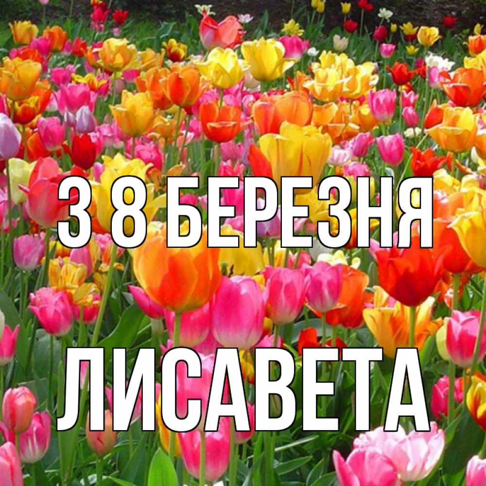 Открытка на каждый день з підписом, Лисавета З 8 БЕРЕЗНЯ на международный женский день Прикольна листівка з побажанням онлайн скачати безкоштовно 