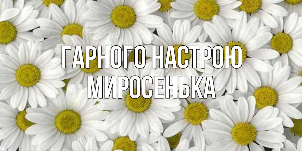 Открытка на каждый день з підписом, Миросенька Гарного настрою поляна ромашек Прикольна листівка з побажанням онлайн скачати безкоштовно 