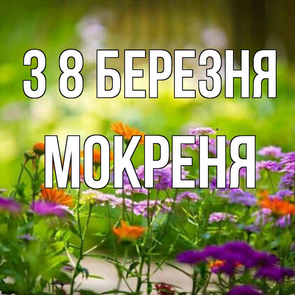 Открытка на каждый день з підписом, Мокреня З 8 БЕРЕЗНЯ цветы Прикольна листівка з побажанням онлайн скачати безкоштовно 