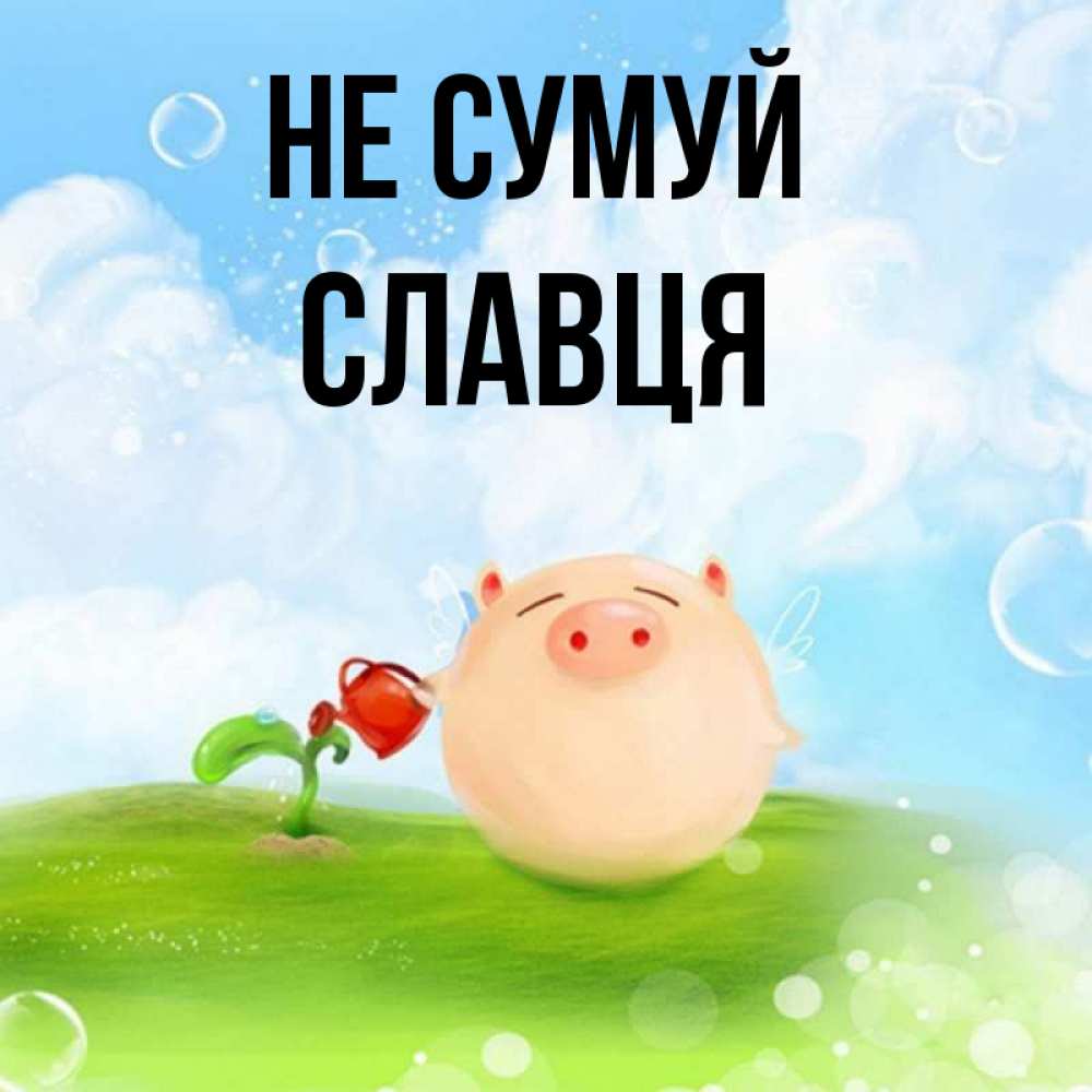 Открытка на каждый день з підписом, Славця Не сумуй поливает цветок порося Прикольна листівка з побажанням онлайн скачати безкоштовно 