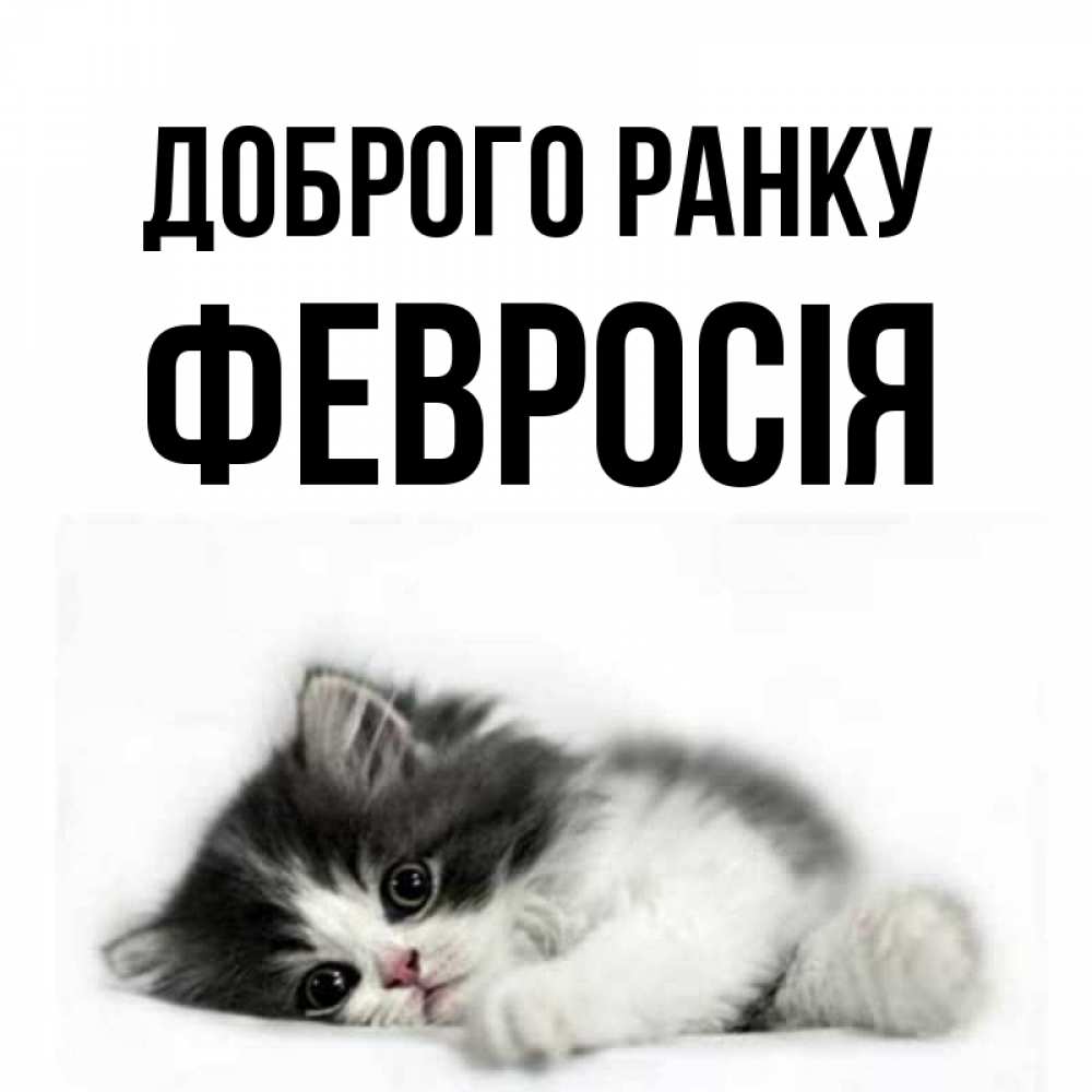 Открытка на каждый день з підписом, Февросія Доброго ранку кот лапки Прикольна листівка з побажанням онлайн скачати безкоштовно 