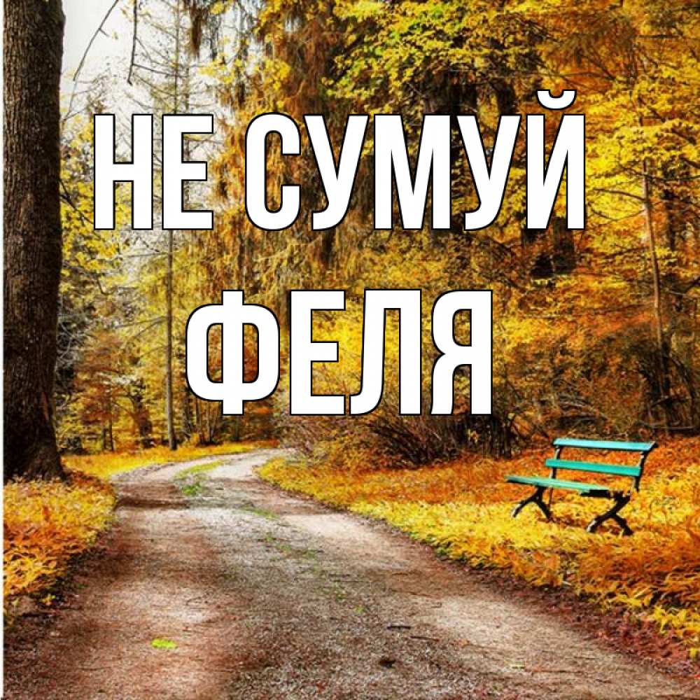 Открытка на каждый день з підписом, Феля Не сумуй зеленая лавочка Прикольна листівка з побажанням онлайн скачати безкоштовно 