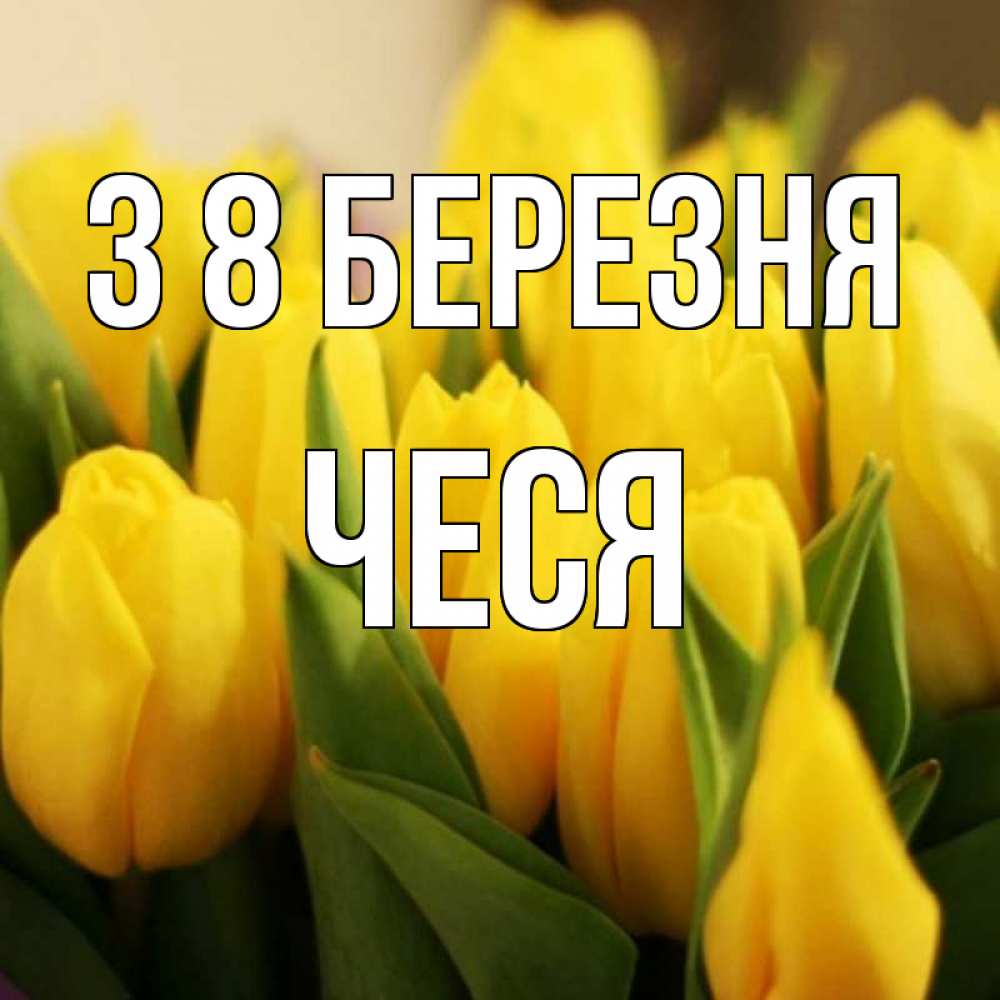 Открытка на каждый день з підписом, Чеся З 8 БЕРЕЗНЯ цветы Прикольна листівка з побажанням онлайн скачати безкоштовно 