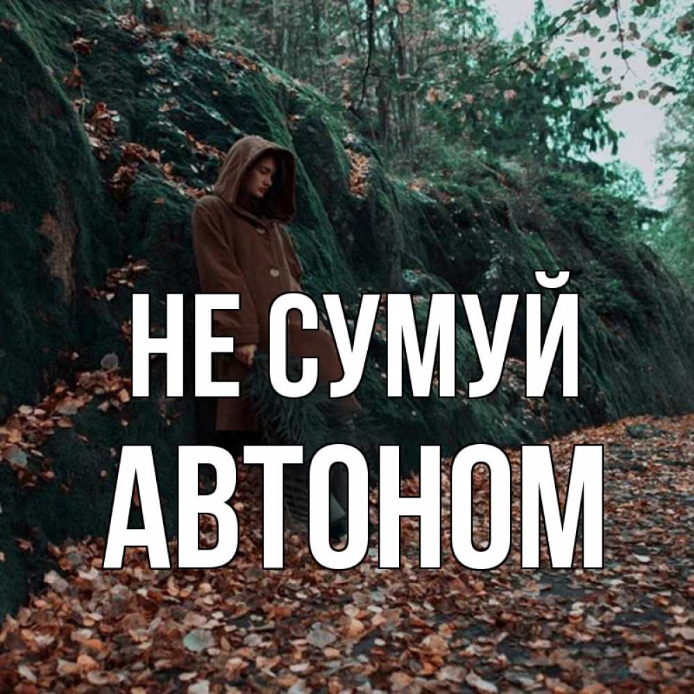 Открытка на каждый день з підписом, Автоном Не сумуй осенний лес Прикольна листівка з побажанням онлайн скачати безкоштовно 