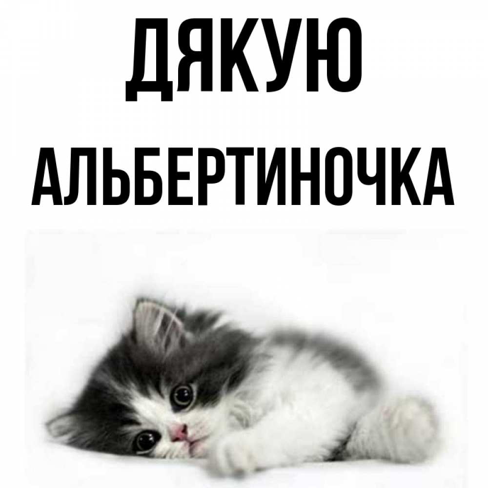 Открытка на каждый день з підписом, Альбертиночка Дякую черный и белый кот Прикольна листівка з побажанням онлайн скачати безкоштовно 