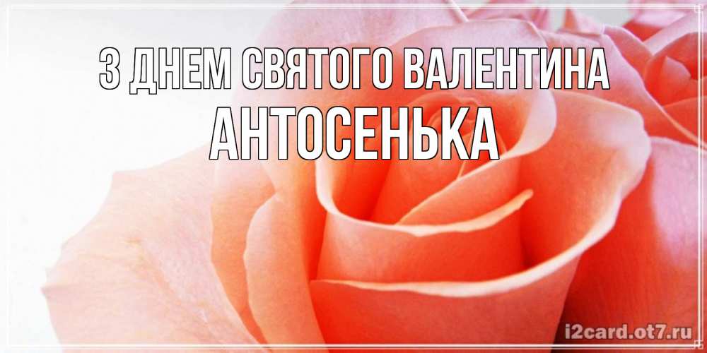 Открытка на каждый день з підписом, Антосенька З Днем Святого Валентина открытка на день Святого Валентина с розовой розой Прикольна листівка з побажанням онлайн скачати безкоштовно 