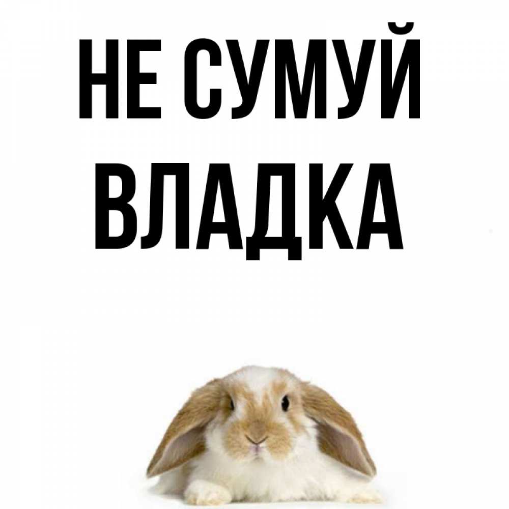 Открытка на каждый день з підписом, Владка Не сумуй коричнево белый заяц с большими ушками Прикольна листівка з побажанням онлайн скачати безкоштовно 