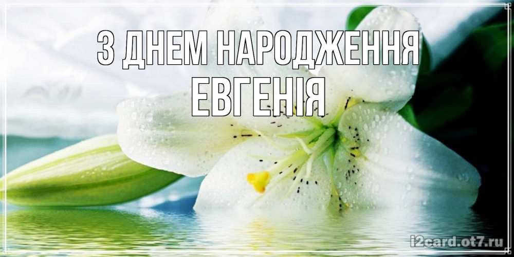Открытка на каждый день з підписом, Евгенія З Днем народження лилия на открытке ко дню рождения Прикольна листівка з побажанням онлайн скачати безкоштовно 