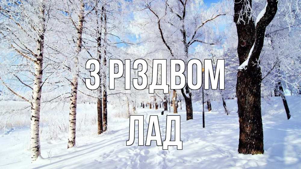 Открытка на каждый день з підписом, Лад З Різдвом зимний лес Прикольна листівка з побажанням онлайн скачати безкоштовно 
