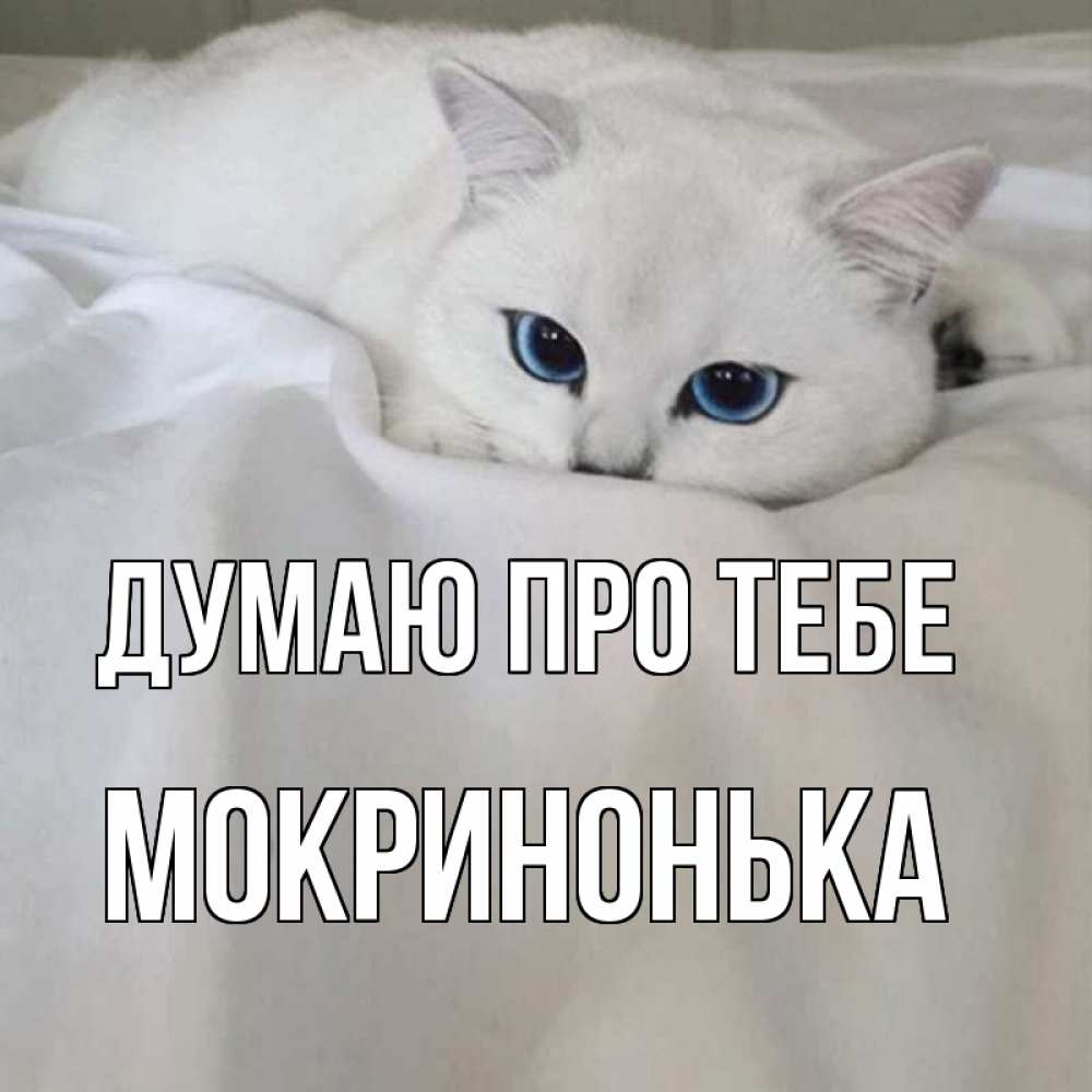 Открытка на каждый день з підписом, Мокринонька Думаю про тебе я очень по тебе скучаю и тоскую Прикольна листівка з побажанням онлайн скачати безкоштовно 