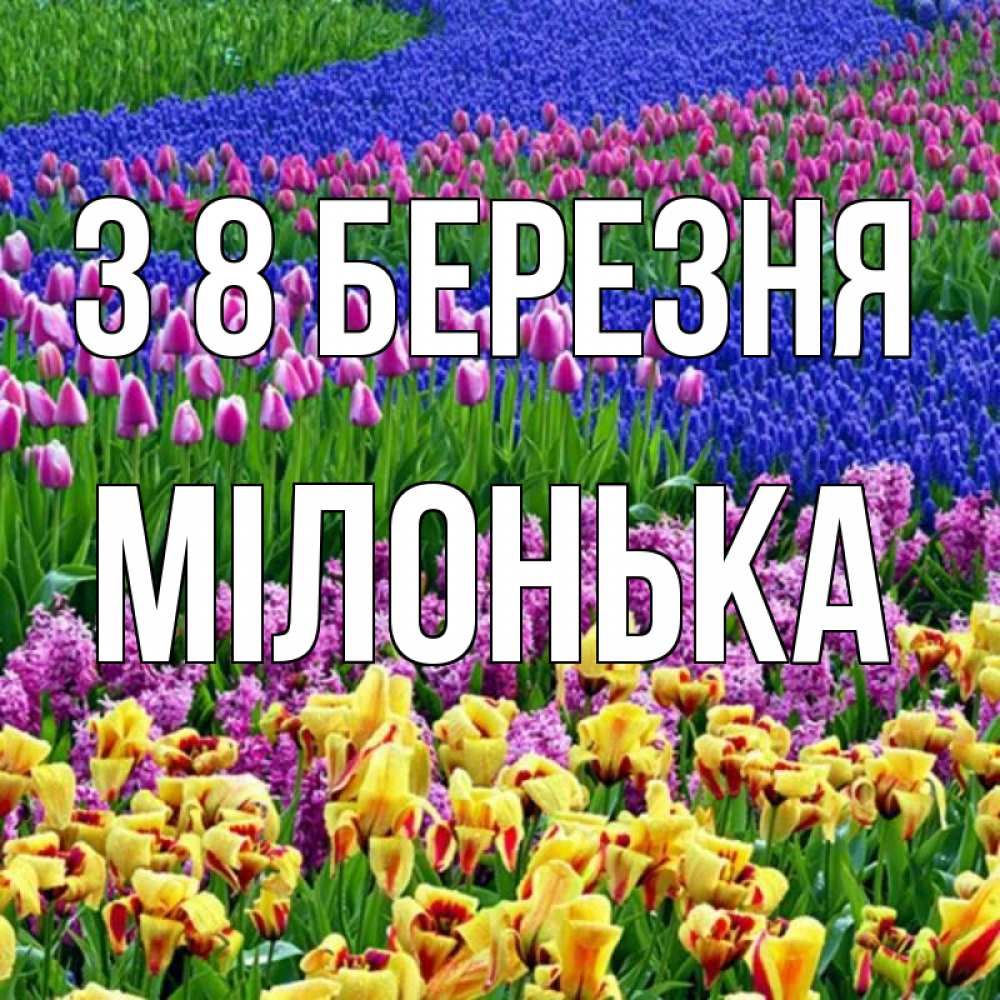 Открытка на каждый день з підписом, Мілонька З 8 БЕРЕЗНЯ цветы Прикольна листівка з побажанням онлайн скачати безкоштовно 
