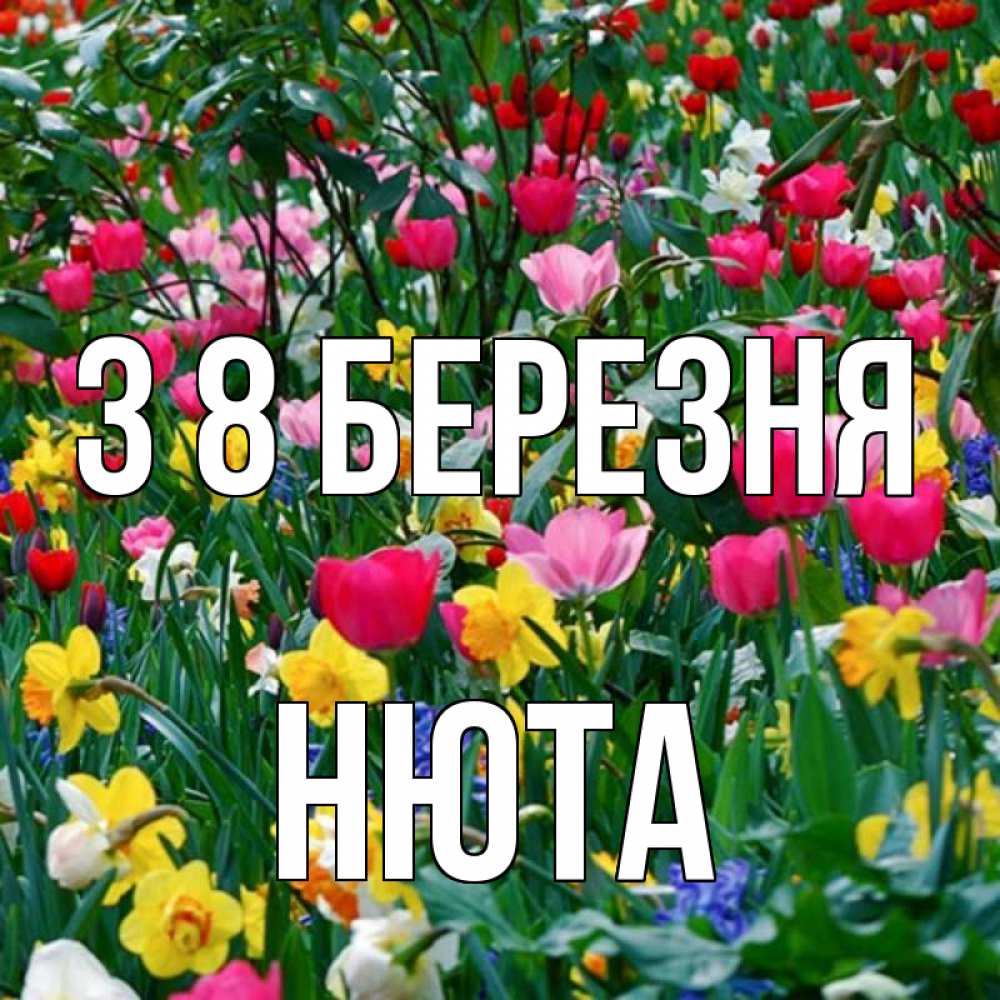 Открытка на каждый день з підписом, Нюта З 8 БЕРЕЗНЯ с международным женским днем поздравления для женщины Прикольна листівка з побажанням онлайн скачати безкоштовно 