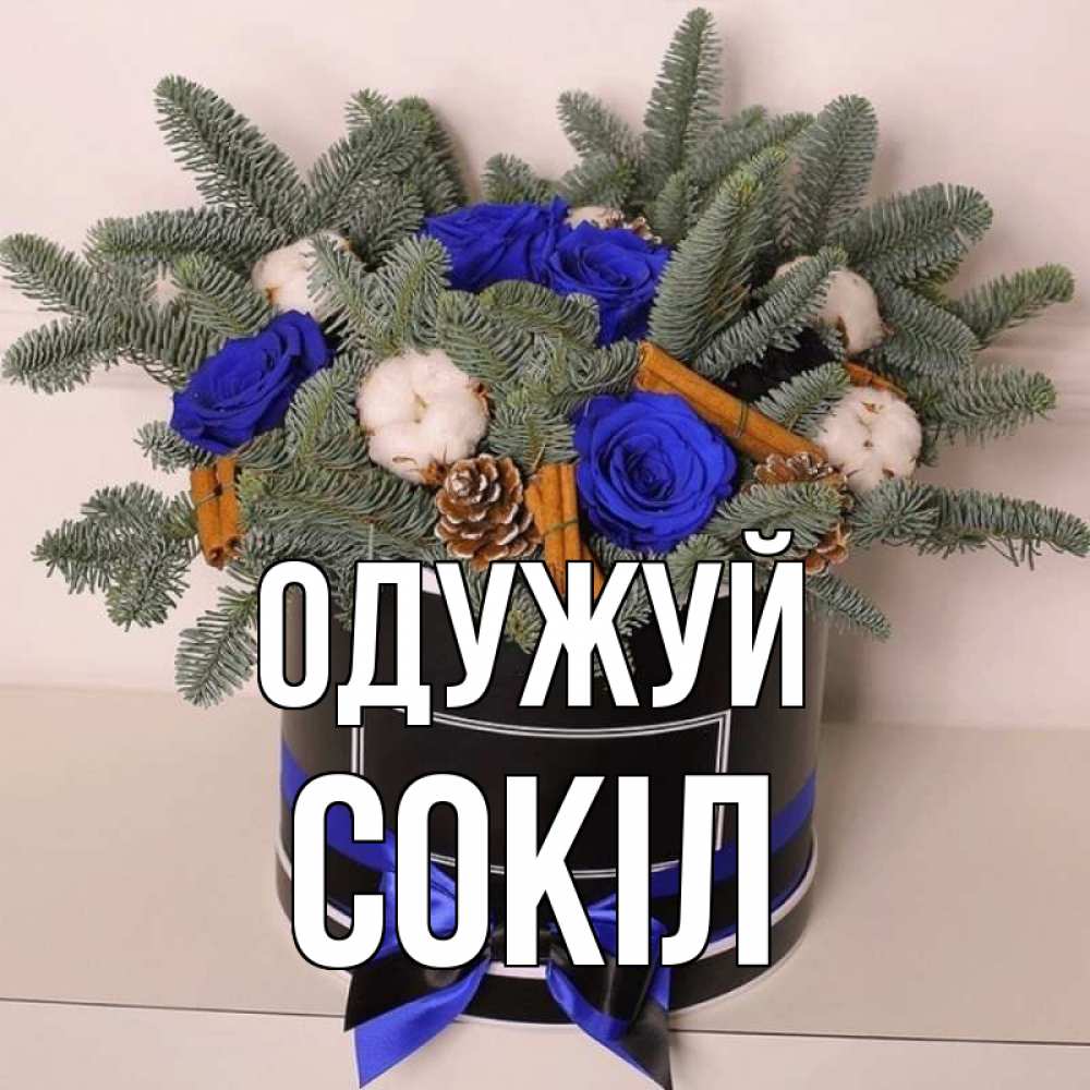 Открытка на каждый день з підписом, Сокіл Одужуй короче кто то загрузил эти шишки Прикольна листівка з побажанням онлайн скачати безкоштовно 