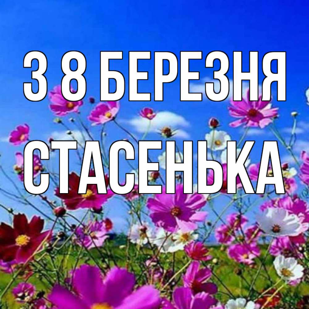 Открытка на каждый день з підписом, Стасенька З 8 БЕРЕЗНЯ цветы Прикольна листівка з побажанням онлайн скачати безкоштовно 