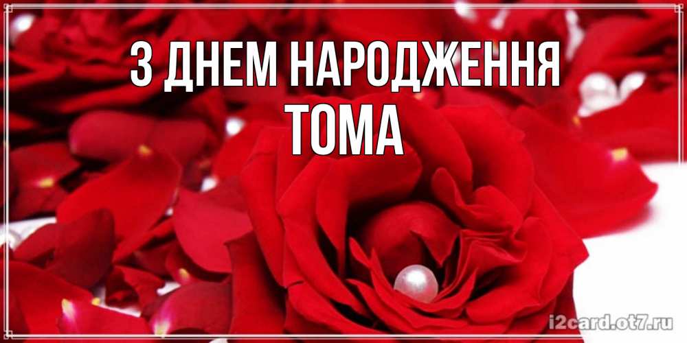 Открытка на каждый день з підписом, Тома З Днем народження роза с жемчужиной на открытке для любимых Прикольна листівка з побажанням онлайн скачати безкоштовно 