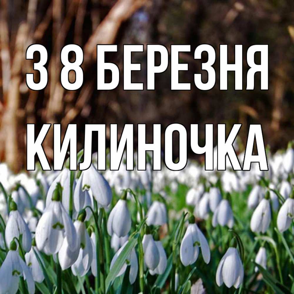 Открытка на каждый день з підписом, Килиночка З 8 БЕРЕЗНЯ с подснежниками 1 Прикольна листівка з побажанням онлайн скачати безкоштовно 