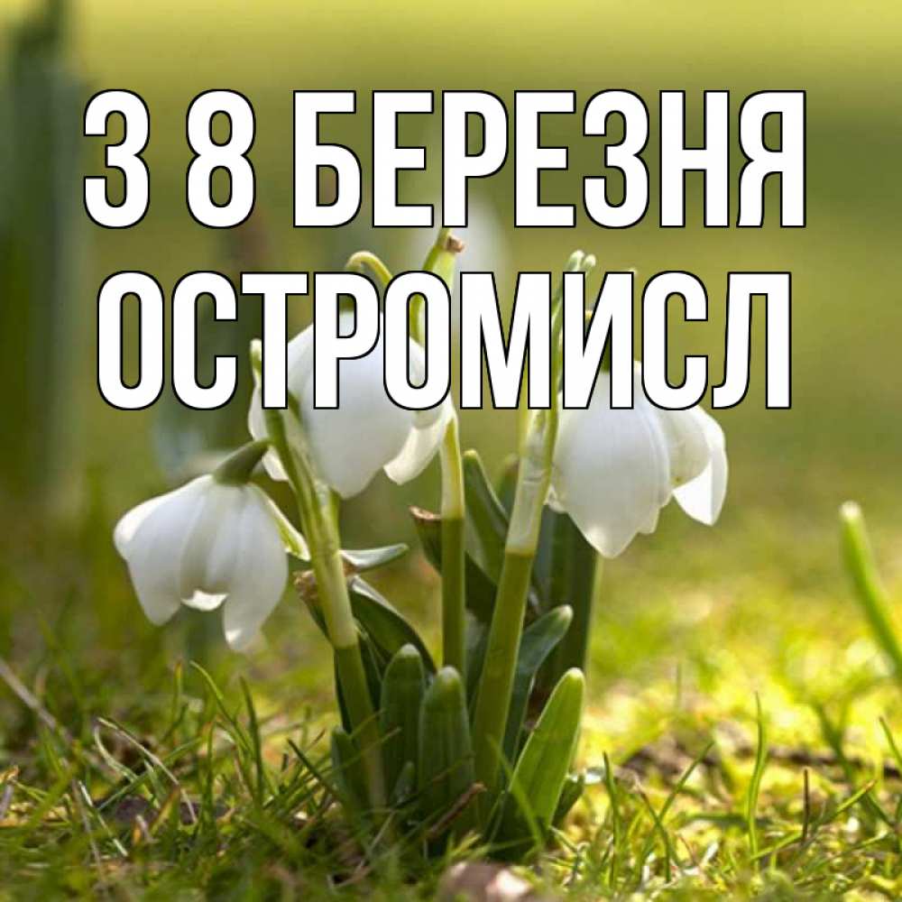 Открытка на каждый день з підписом, Остромисл З 8 БЕРЕЗНЯ ранние цветы 2 Прикольна листівка з побажанням онлайн скачати безкоштовно 