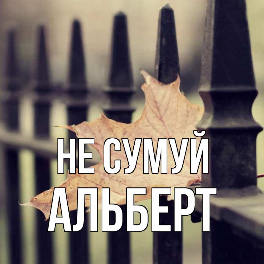 Открытка на каждый день з підписом, Альберт Не сумуй лист клена Прикольна листівка з побажанням онлайн скачати безкоштовно 