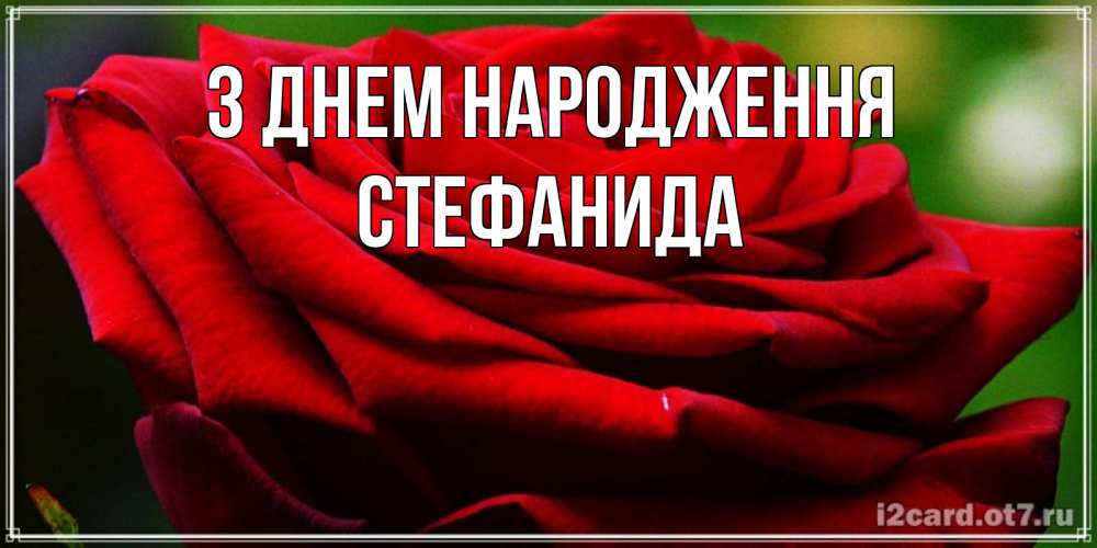 Открытка на каждый день з підписом, Стефанида З Днем народження розочка очень красивая Прикольна листівка з побажанням онлайн скачати безкоштовно 