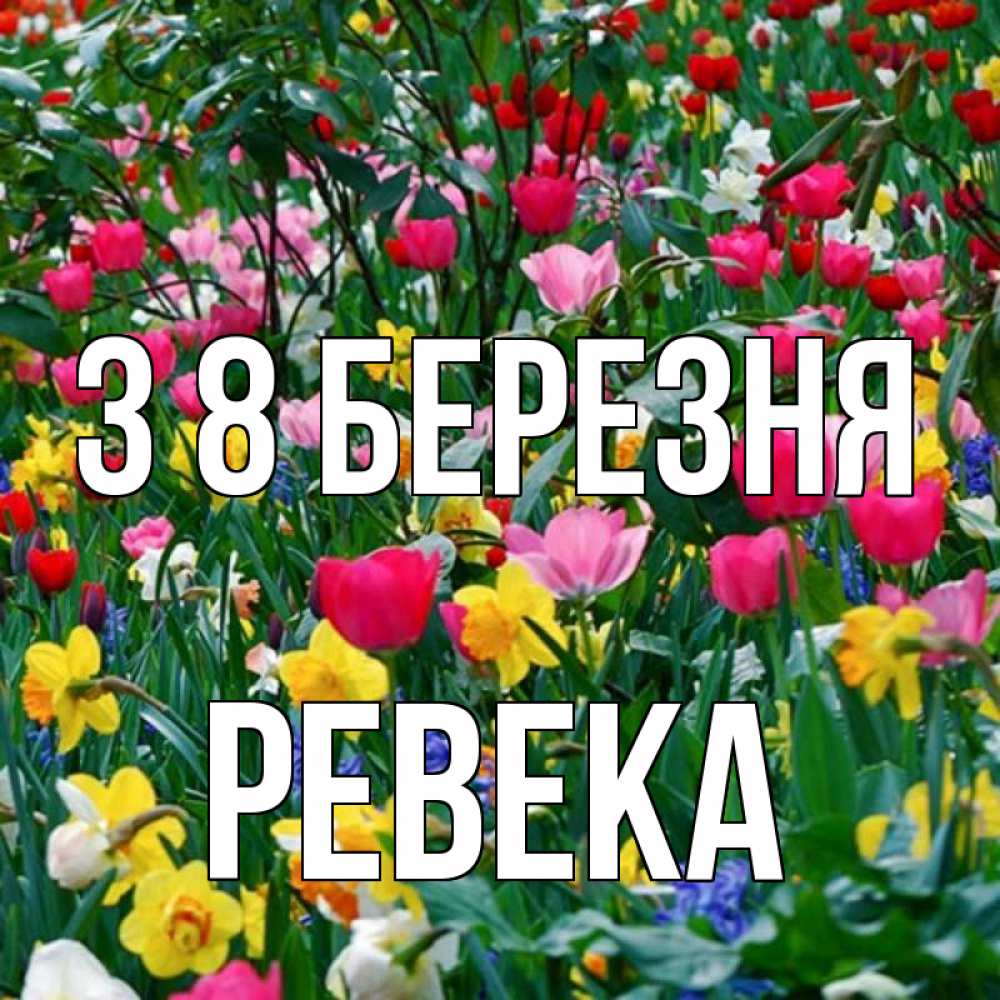 Открытка на каждый день з підписом, Ревека З 8 БЕРЕЗНЯ с международным женским днем поздравления для женщины Прикольна листівка з побажанням онлайн скачати безкоштовно 