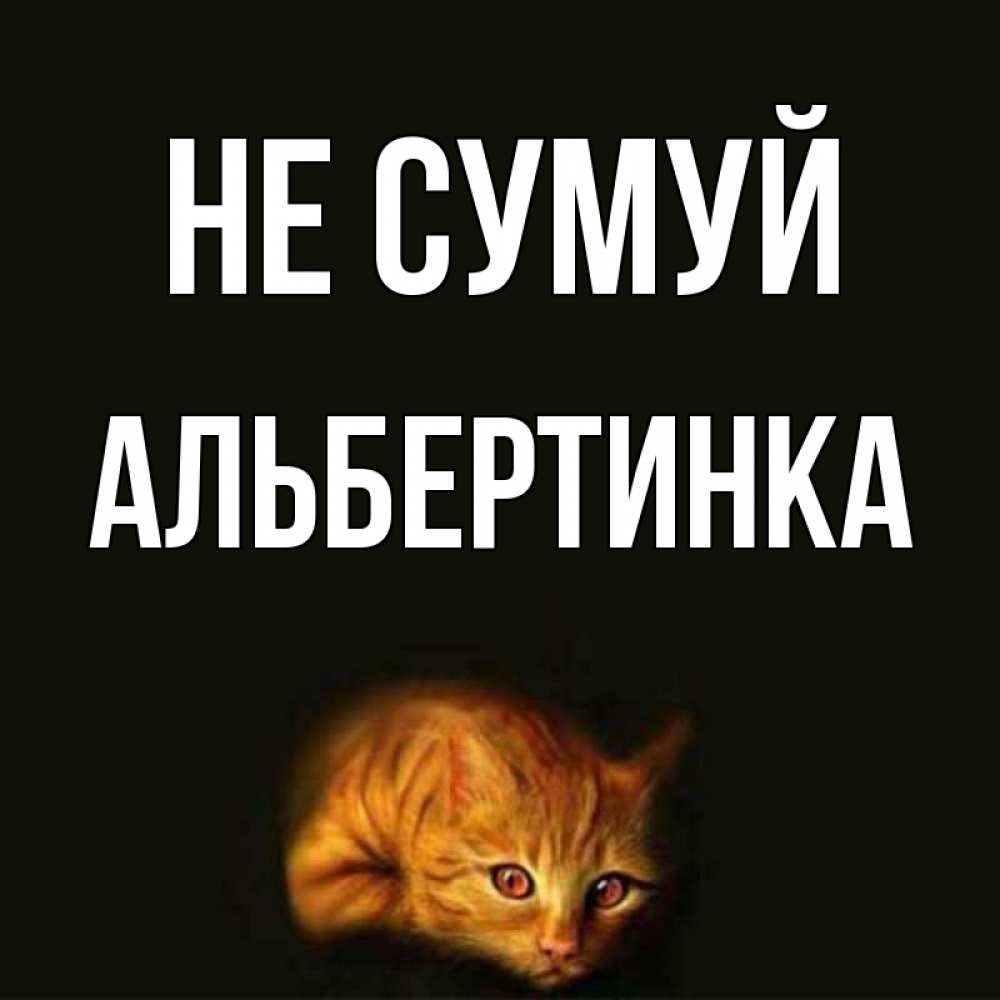 Открытка на каждый день з підписом, Альбертинка Не сумуй лежащий кот в темноте Прикольна листівка з побажанням онлайн скачати безкоштовно 