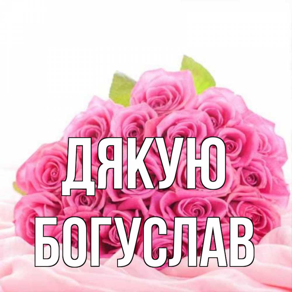 Открытка на каждый день з підписом, Богуслав Дякую розовые розы с подписью Прикольна листівка з побажанням онлайн скачати безкоштовно 