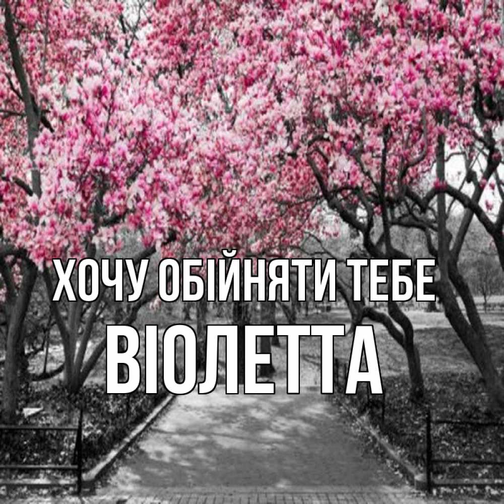 Открытка на каждый день з підписом, Віолетта Хочу обійняти тебе обработанное фото Прикольна листівка з побажанням онлайн скачати безкоштовно 