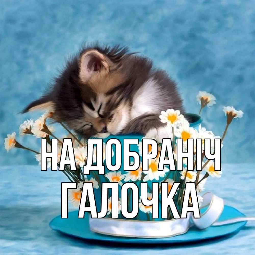 Открытка на каждый день з підписом, Галочка На добраніч котенок спит в кружке с блюдцем Прикольна листівка з побажанням онлайн скачати безкоштовно 