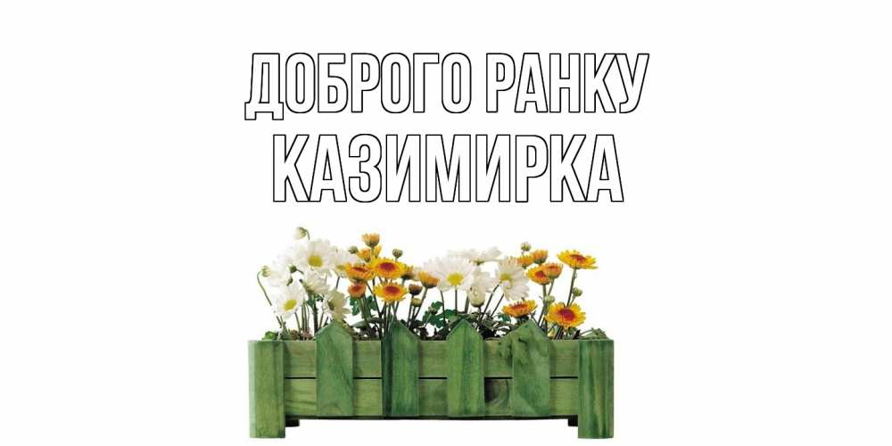 Открытка на каждый день з підписом, Казимирка Доброго ранку цветы Прикольна листівка з побажанням онлайн скачати безкоштовно 