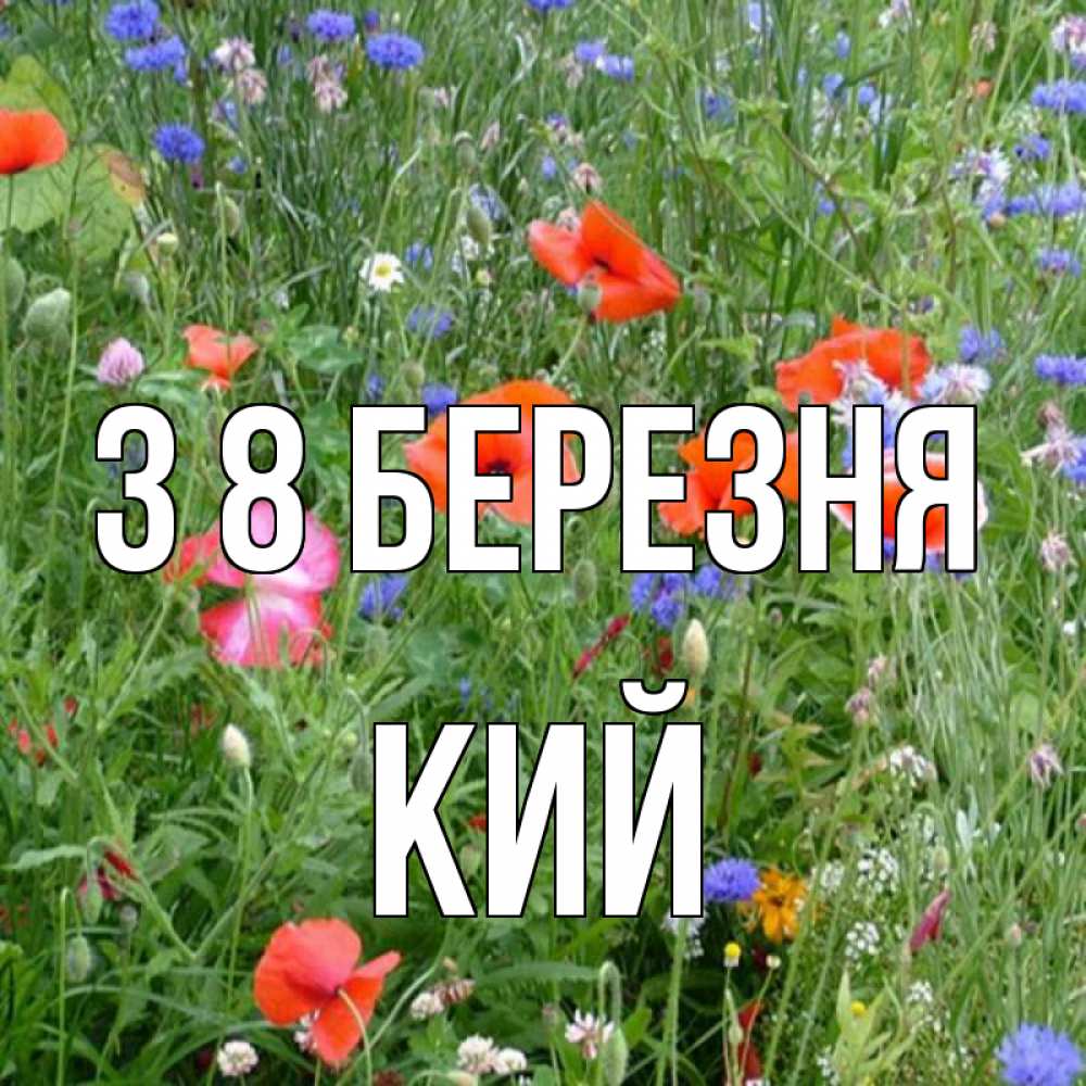 Открытка на каждый день з підписом, Кий З 8 БЕРЕЗНЯ международный женский день 4 Прикольна листівка з побажанням онлайн скачати безкоштовно 