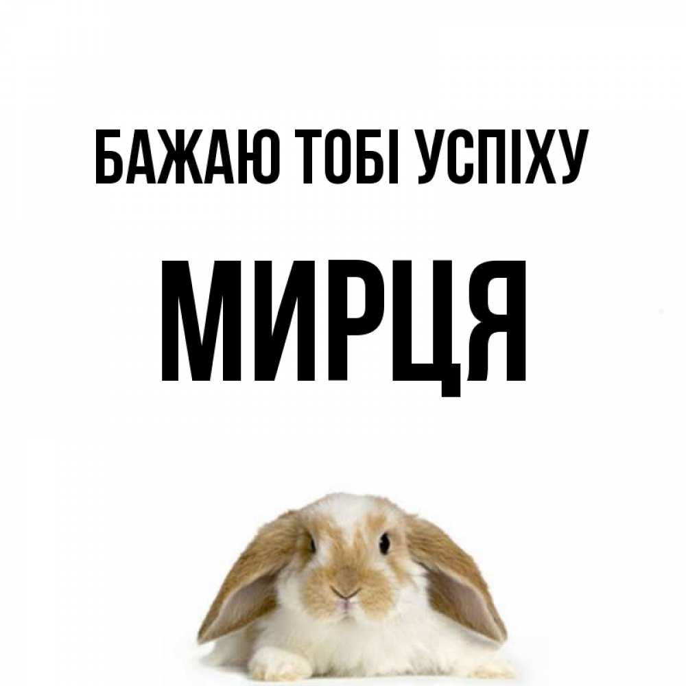 Открытка на каждый день з підписом, Мирця Бажаю тобі успіху открытки с произвольным текстом который можно вставить в открытку и создать ее самостоятельно бесплатно онлайн Прикольна листівка з побажанням онлайн скачати безкоштовно 
