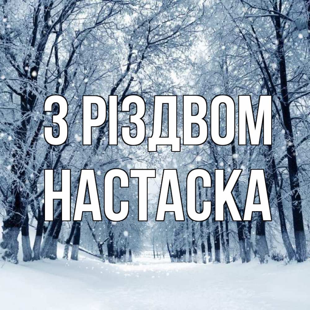 Открытка на каждый день з підписом, Настаска З Різдвом снег, лес, парк Прикольна листівка з побажанням онлайн скачати безкоштовно 