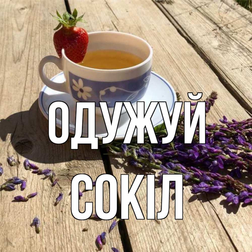 Открытка на каждый день з підписом, Сокіл Одужуй чай Прикольна листівка з побажанням онлайн скачати безкоштовно 