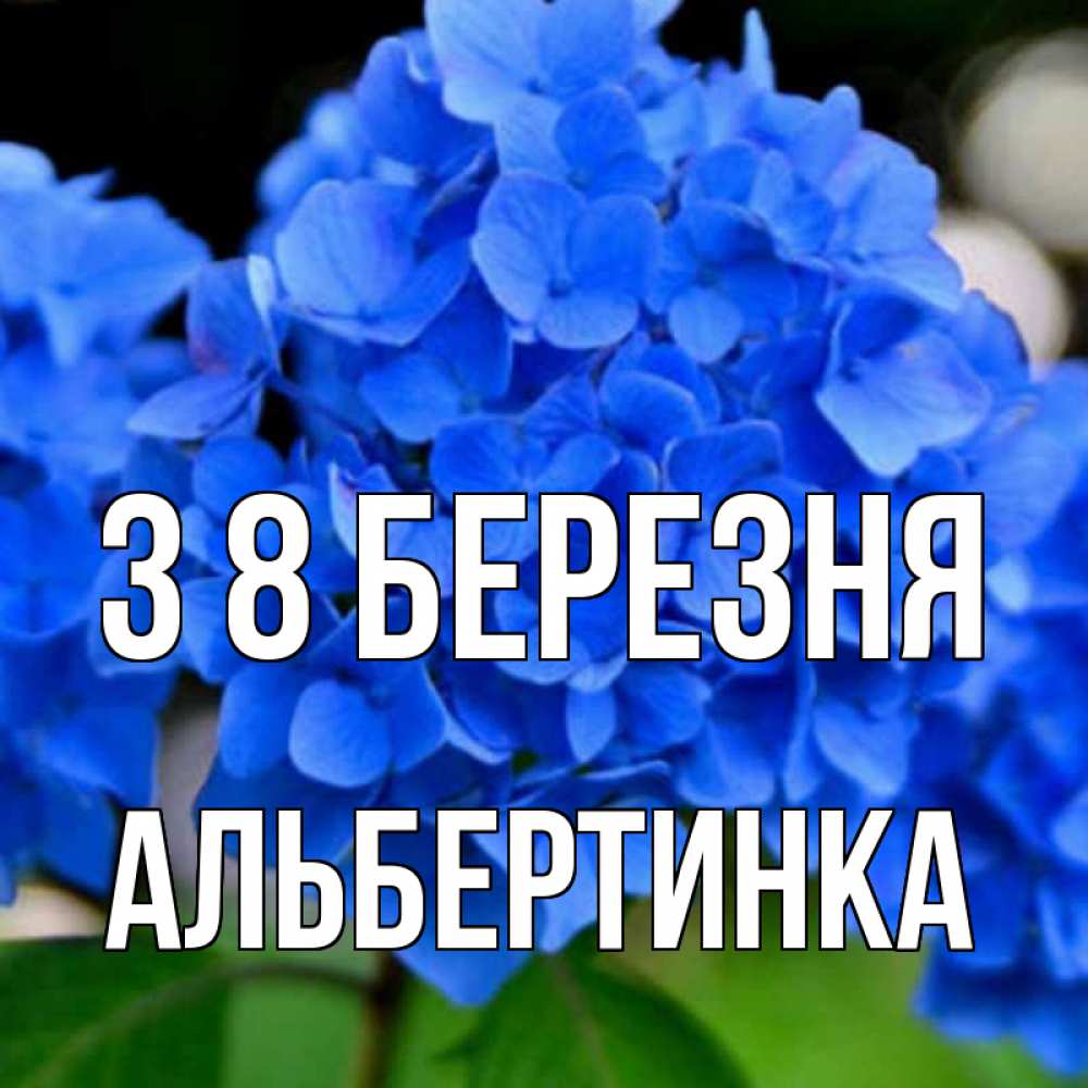 Открытка на каждый день з підписом, Альбертинка З 8 БЕРЕЗНЯ синие цветы Прикольна листівка з побажанням онлайн скачати безкоштовно 