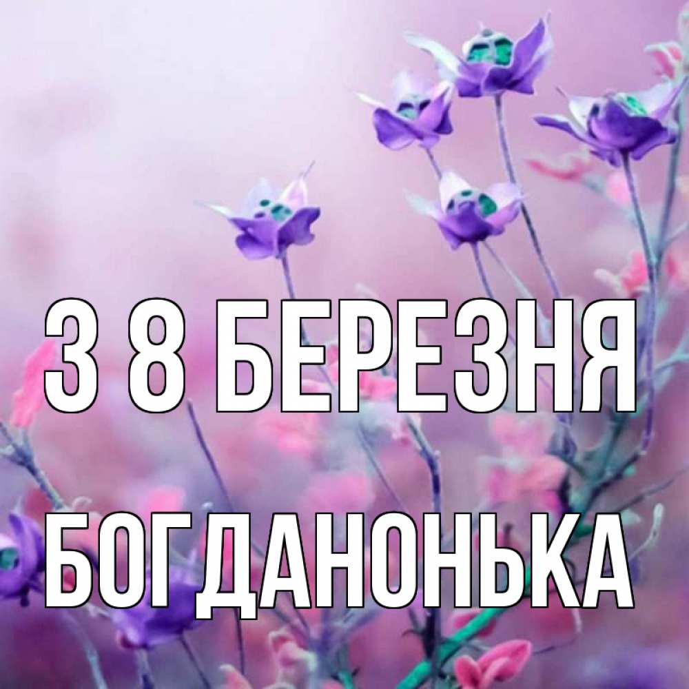 Открытка на каждый день з підписом, Богданонька З 8 БЕРЕЗНЯ международный женский день 2 Прикольна листівка з побажанням онлайн скачати безкоштовно 