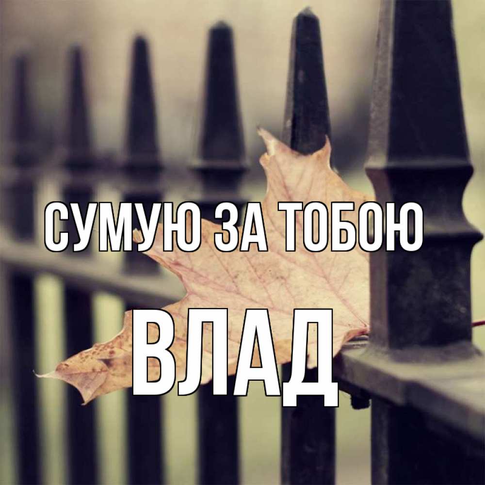 Открытка на каждый день з підписом, Влад Сумую за тобою очень скучно Прикольна листівка з побажанням онлайн скачати безкоштовно 