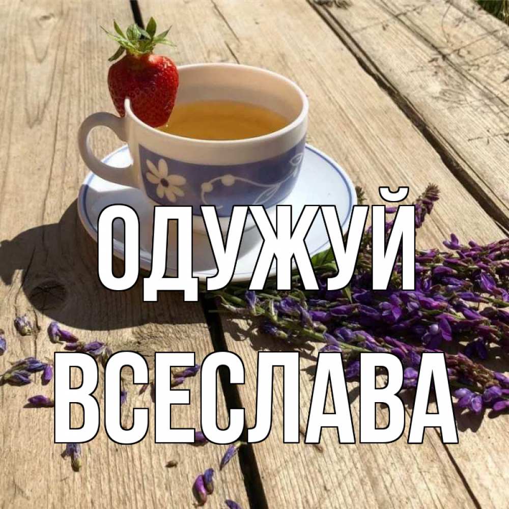 Открытка на каждый день з підписом, Всеслава Одужуй чай Прикольна листівка з побажанням онлайн скачати безкоштовно 